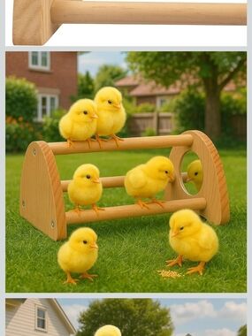 Wooden Chick Perch Playset - Natural Pine. Nwt Birds